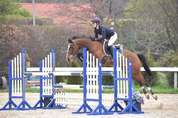 Rachel Vicary reigns in the NAF Five Star Summer Silver League qualifier at Dorset Showground